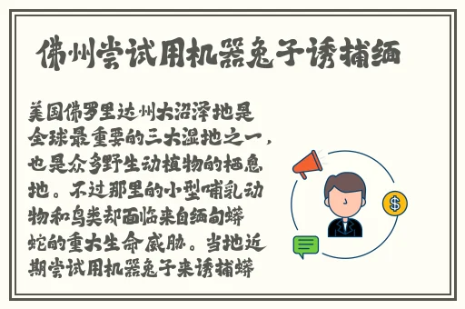 打扑克牌又疼又叫